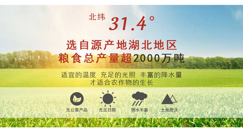 Puffed Lotus Seed Powder Ripe Pure Lotus Seed Meal Replacement Grain Powder