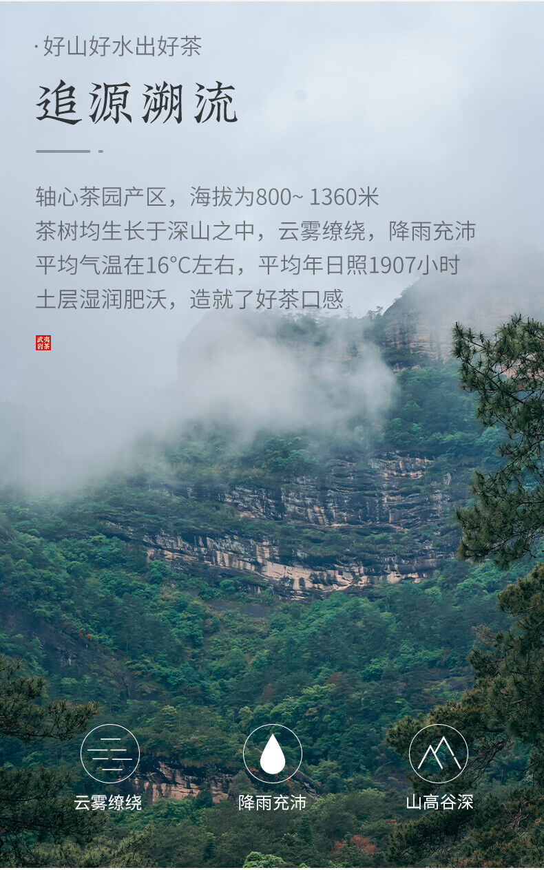 100g Wuyi Rock Dahongpao Laocong Narcissus Qilan Oolong Tea Six Famous Teas
