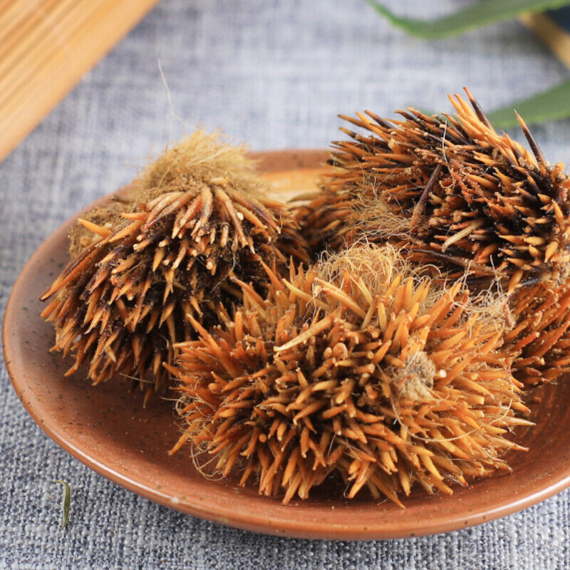 50g Healthy Care, 100% Chinese Top-grade Authentic Hedgehog Skin