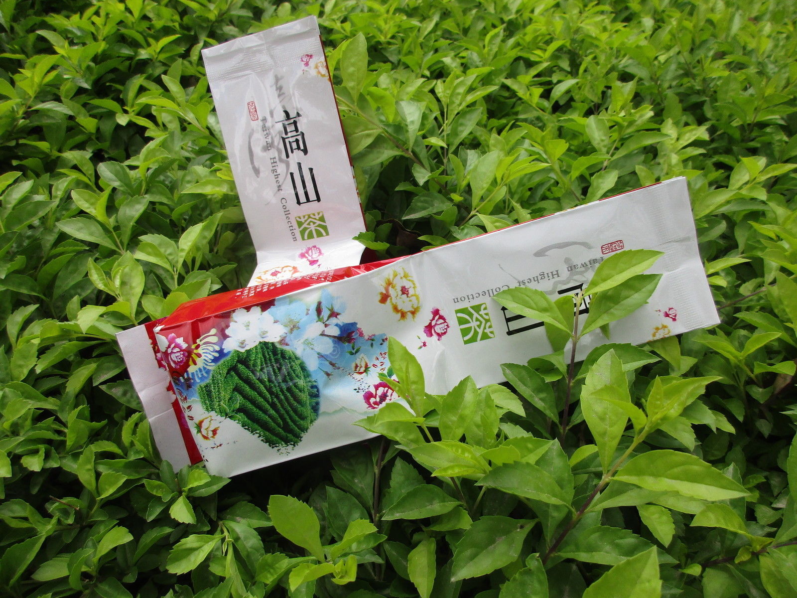 HelloYoung125g Milk Oolong Tea Taiwan Jin xuan Tea Milk Tea Green Tea New Tea Tieguanyin