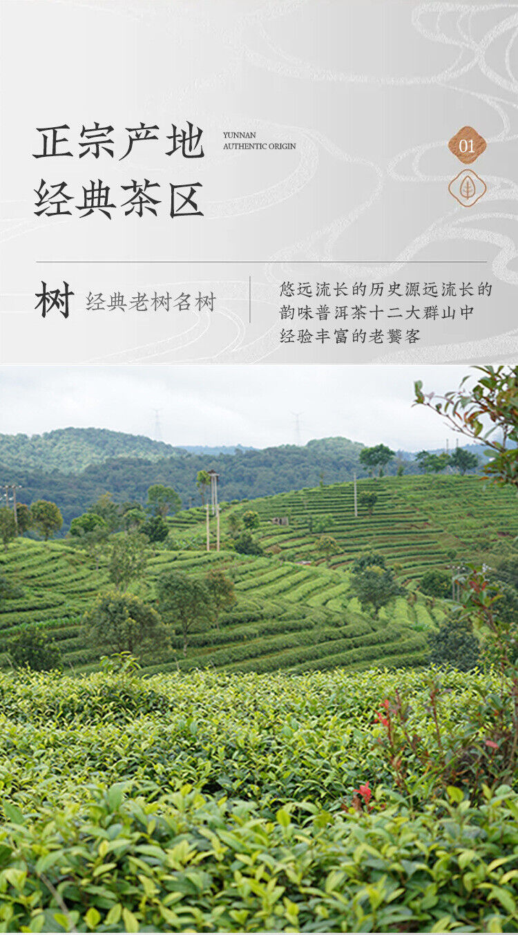 100% Pure Puerh Busy Lushan Cha Zun Pu-erh Tee 357g Raw Tea Cake