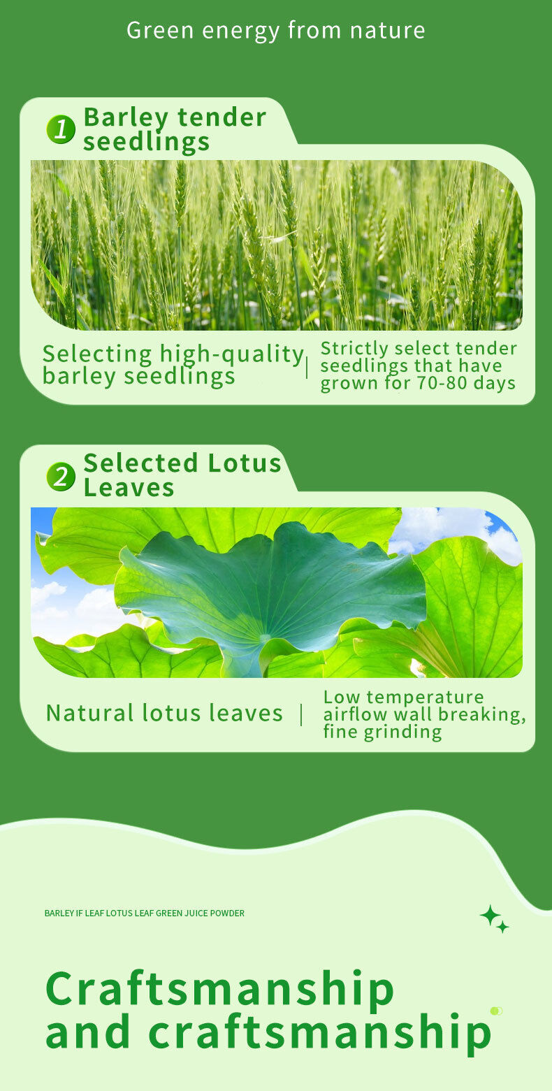 Meal replacement barley seedling green juice powder