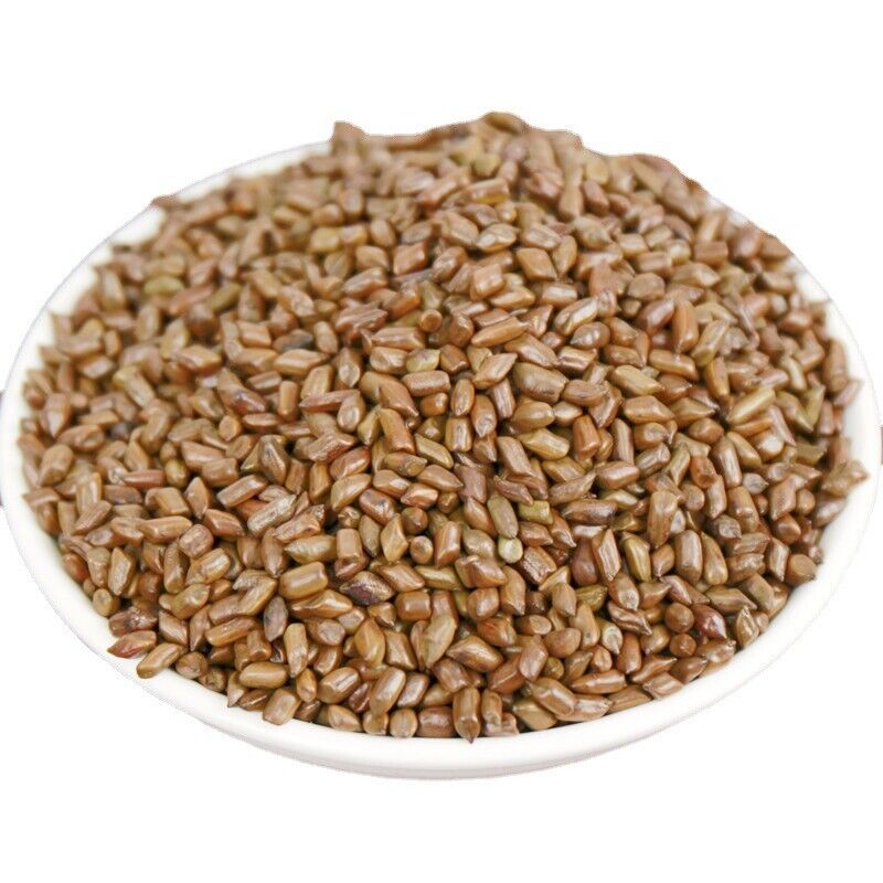 500g Cassia seeds tea new product cooked cassia seeds tea bulk herbal tea