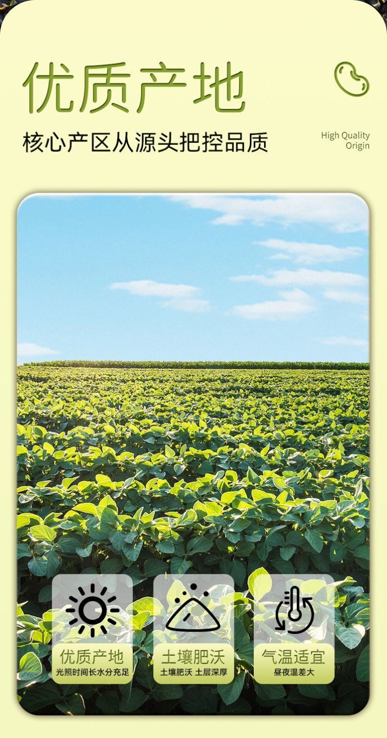 Crunchy Salted Black Soybeans – Perfect Drink Pairing Snack