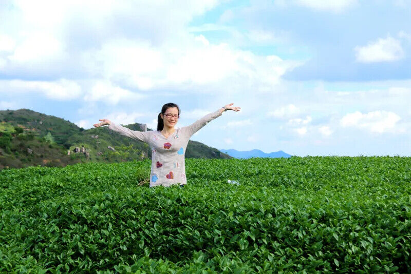 HelloYoung New Top Grade Tieguanyin Tea,Oolong,Tie Guan Yin Tea,Health Care Tea 250g