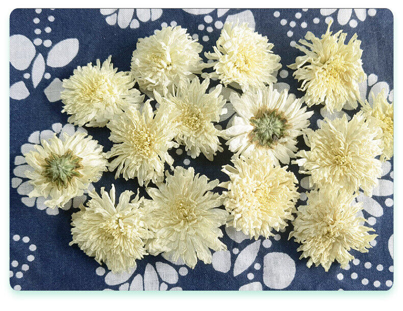 HelloYoung White Chrysanthemum Huangshan Chrysanthemum July Chrysanthemum Tribute 17.6oz