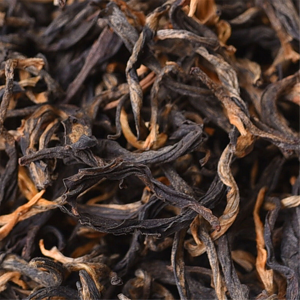 Yunnan Premium Dian Hong Black Kung Fu Tea Mao Feng Tea Chinese Tea Healthy Food