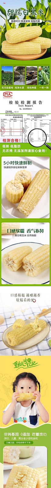 White sweet glutinous corn, fresh sticky corn cob, corn cob, low-fat fast food