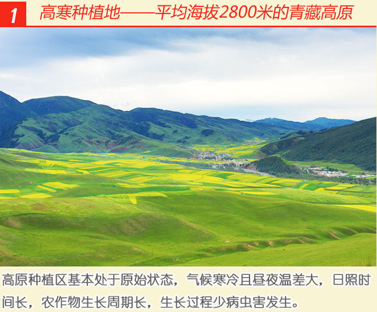 600g Qinghai Oat Flakes High Altitude Hulled Oats Nutritious Breakfast Cereal