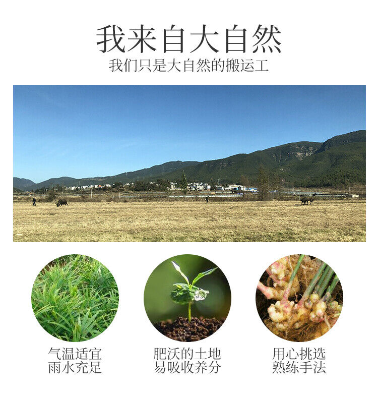Original Ginger Powder Edible Ginger Powder Yunnan Pure Old Dry Ginger Powder