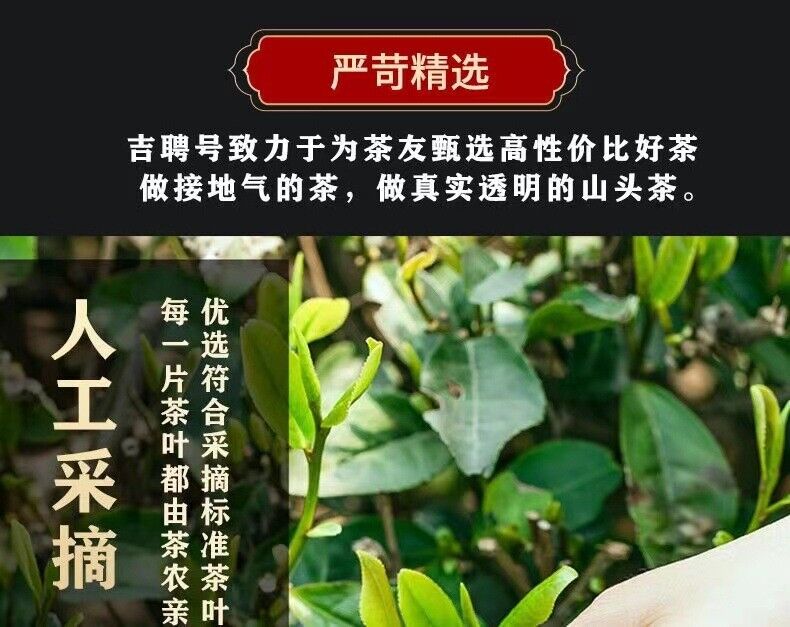 HelloYoung 500g ChenPi White Tea Fuding Old White Tea Longzhu Xinhui Chen Pi Small Tea Cake