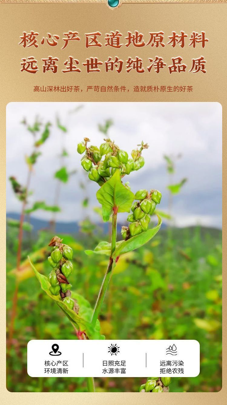 500g Yunnan Highland Buckwheat Tea - Roasted Whole Kernel Herbal Drink