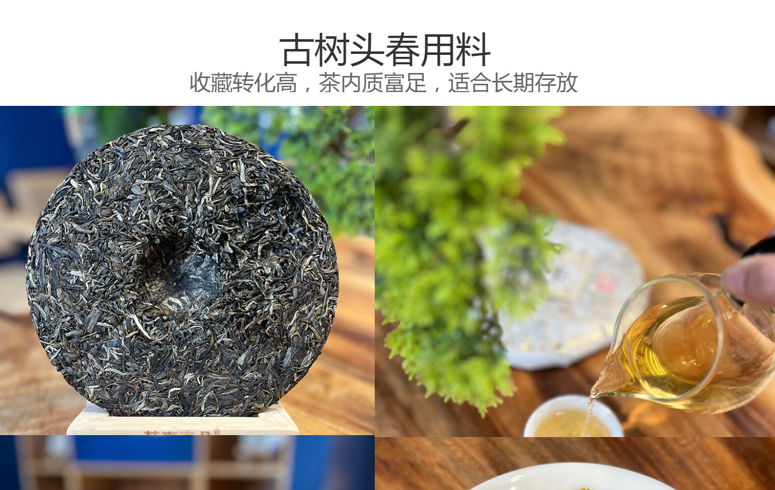 357G Yunnan Qizi Cake Tea 2022 New Tea Spring Tea Naka Ancient Tree Tea Raw Tea