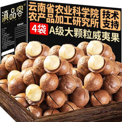 New Macadamia Nuts | Milk Flavor, Large Size, With Shell Opener, Snack
