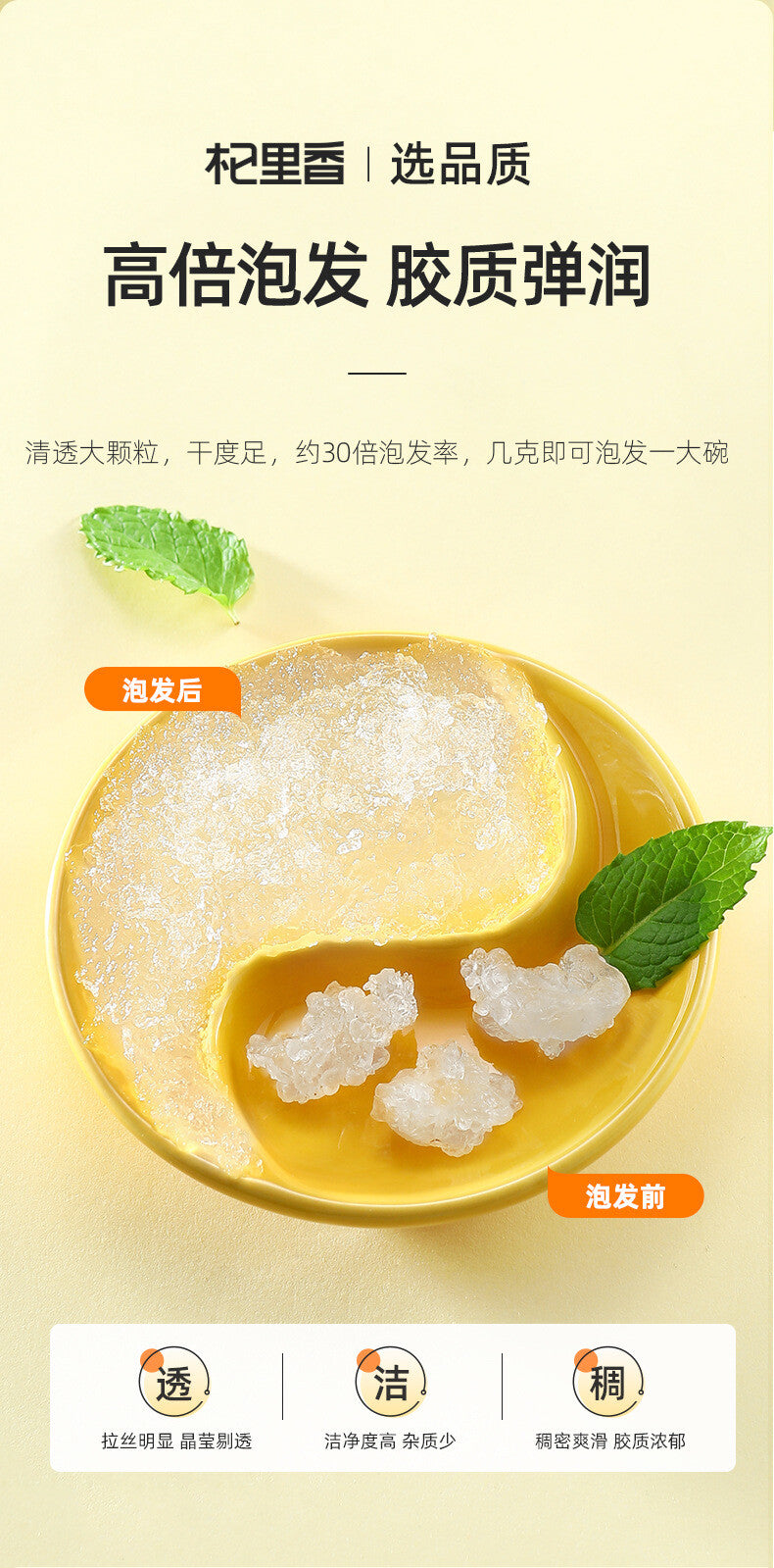 Natural Tragacanth Gum Yunnan Brushed Snow Swallow 35g Canned