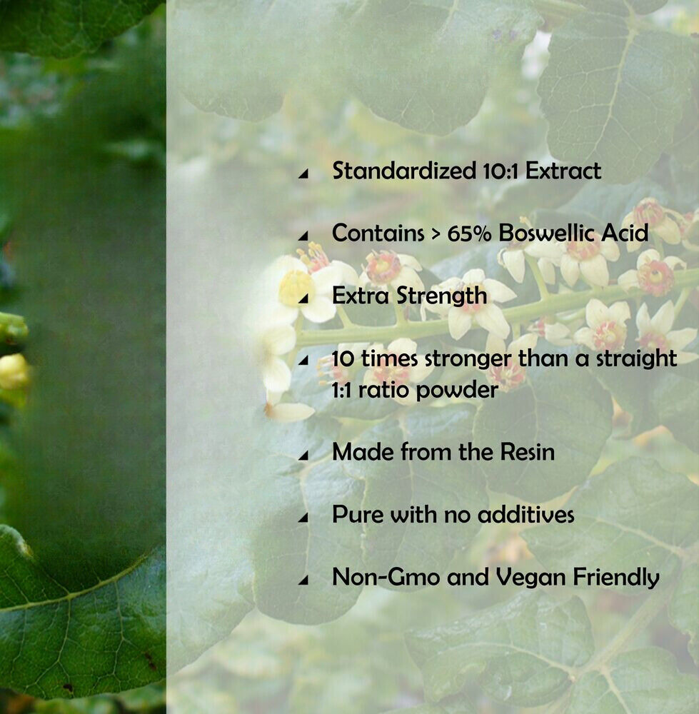 Boswellia Serrata Extract 17.6 oz