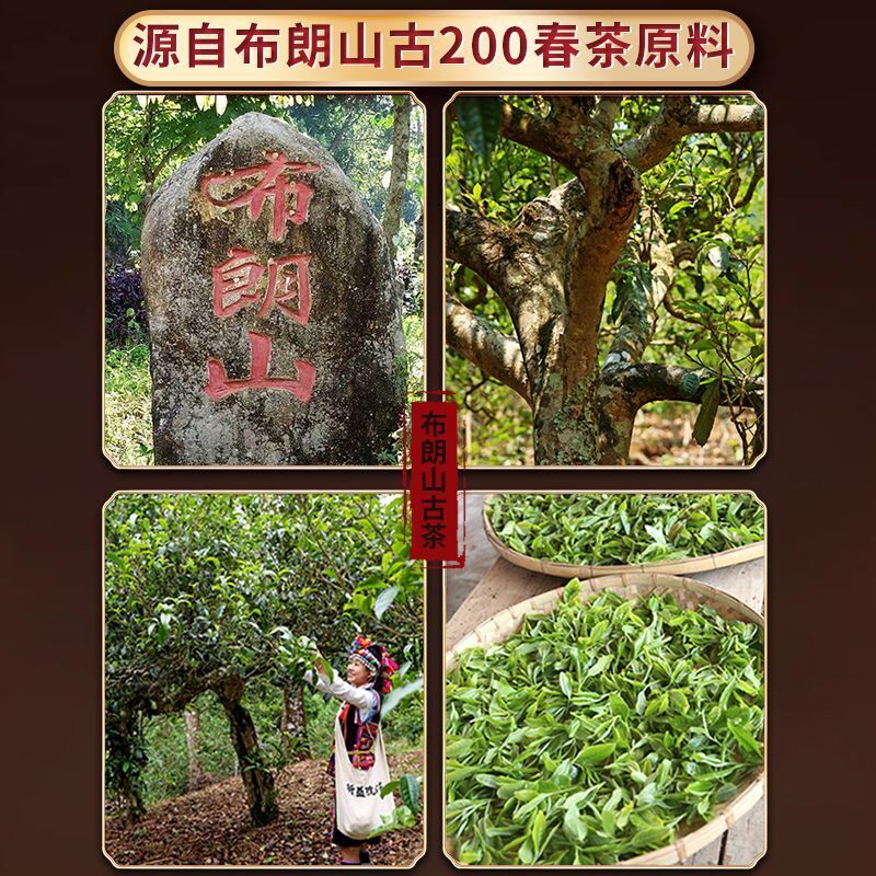 Brown Mountain Pu'er Tea Cooked Tea Yunnan Menghai Old Tree Tea Mini Tuo Tea