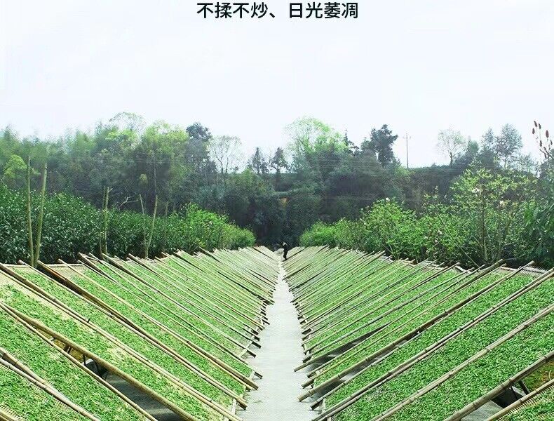HelloYoung 300g Fuding white tea white peony tribute eyebrow shoumei flower fragrance
