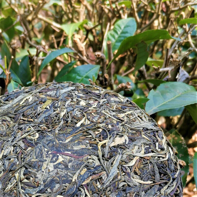 Pu'er Cha Tea Cake 357g Yunnan Green Tea Zhonghong India Mengku Spring Tea
