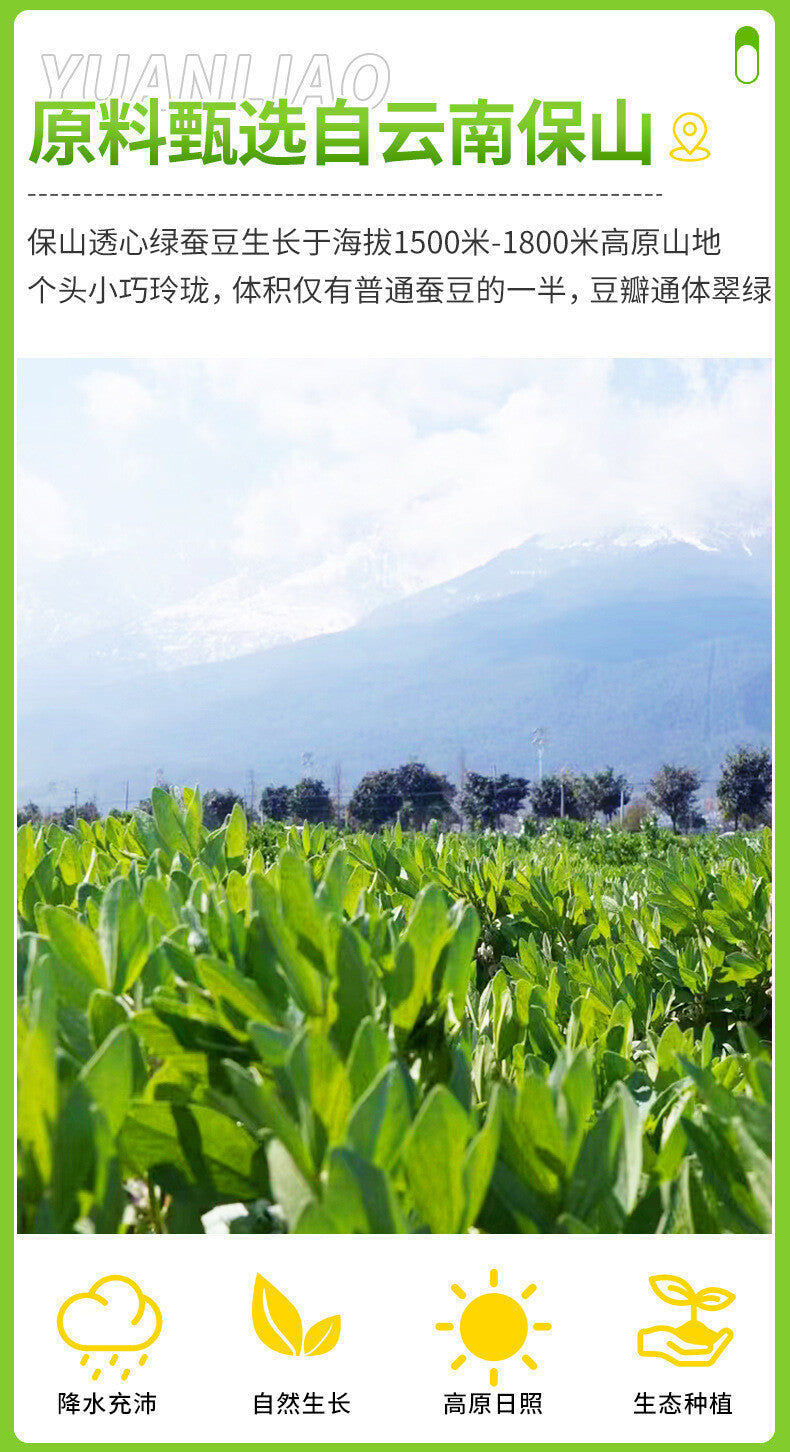 Yunnan Orchid Beans - Roasted Green Broad Beans Snack