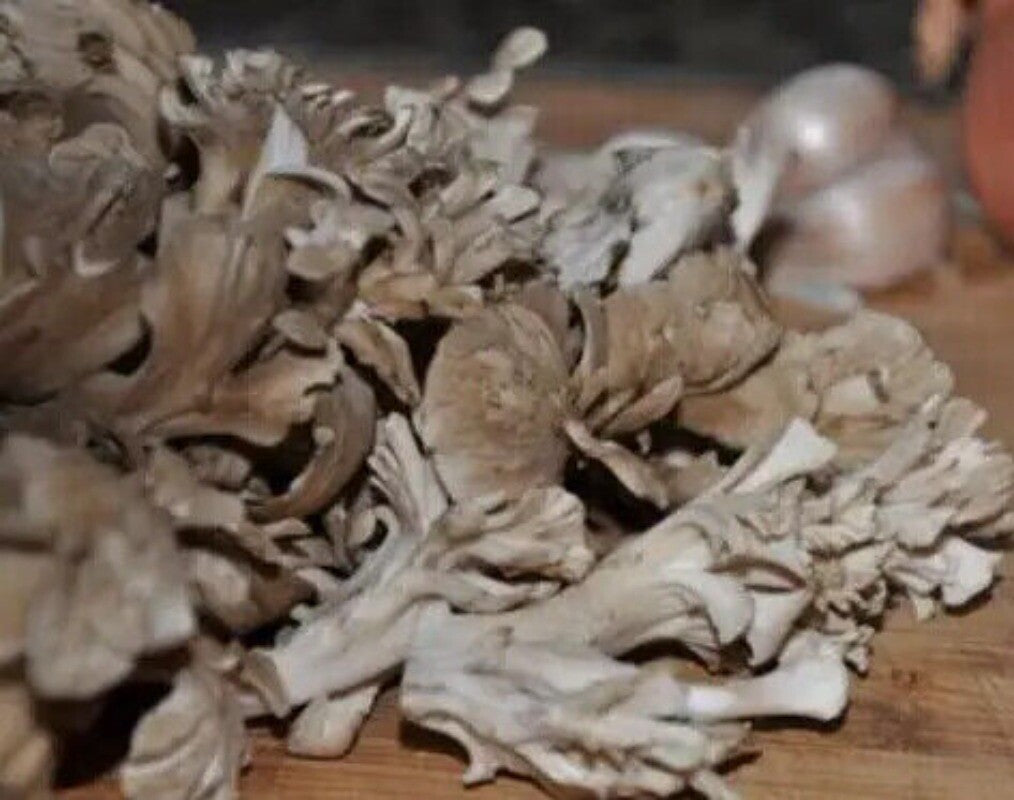 500g Getrockneter Maitake-Pilz – Natürlicher, Lebensmittelgeeigneter Pilz