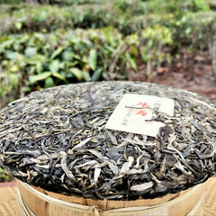 Icelandic Bingdao Ancient Tree Pu-erh Tea High Quality Cha Pu'er Tea Cake 357g