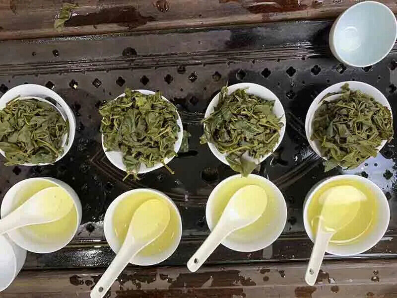 HelloYoung New Tea Taiwan Milk Favor Oolong Tea Jinxuan Natural Milky Oolong Tea 150g