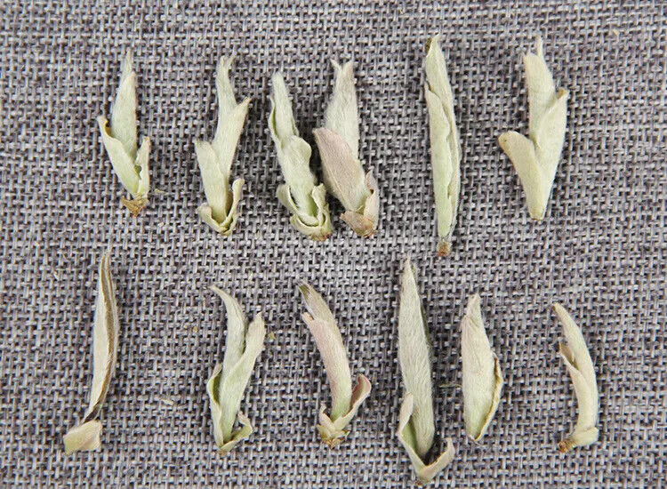 Yunnan Puer Tea Loose Shen Puerh White Buds Bai Ya Bao Yunnan Pu Erh Cha 500G