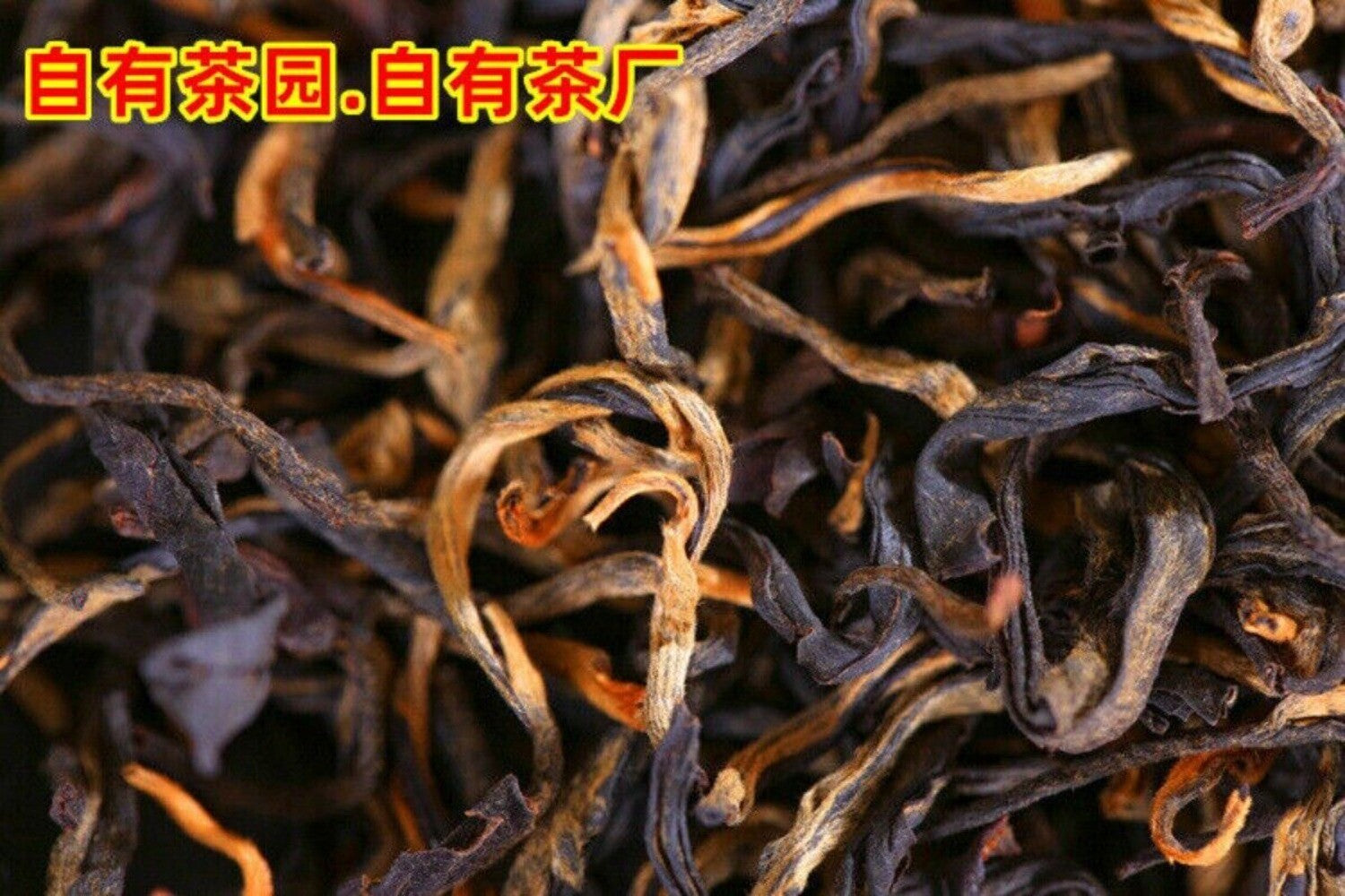 Yingde Black Tea No9 Premium Old Tree Spring Strong Aroma Loose Leaf Bulk