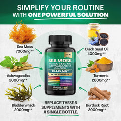 Sea Moss Bundle Black Seed Multivitamin & Shilajit Power Combo