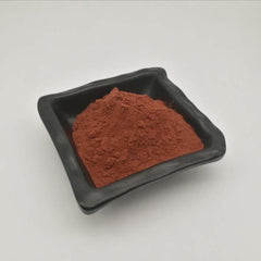 100g 95% oligomeric proanthocyanidins OPC Pine bark extract powder