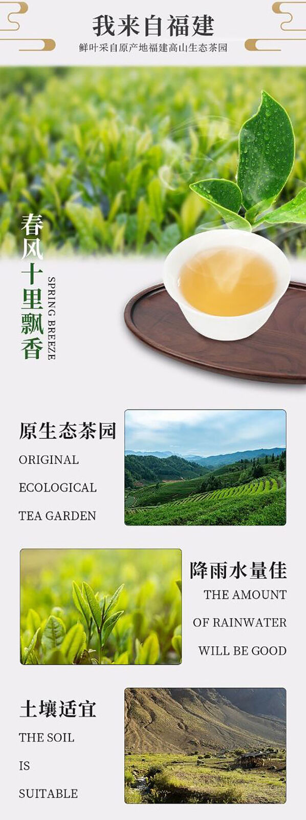 HelloYoung Alpine white tea Fuding white tea gongmei 5g a bubble old white tea cake 500g