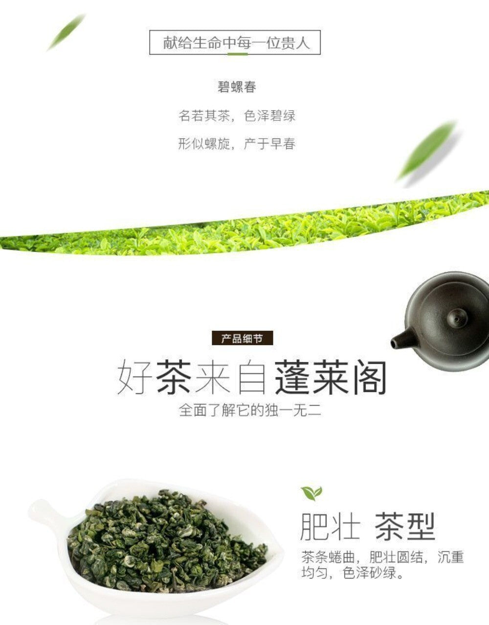 Top Grade Biluochun 2025 Pre Rain Spring Tea Light Aroma