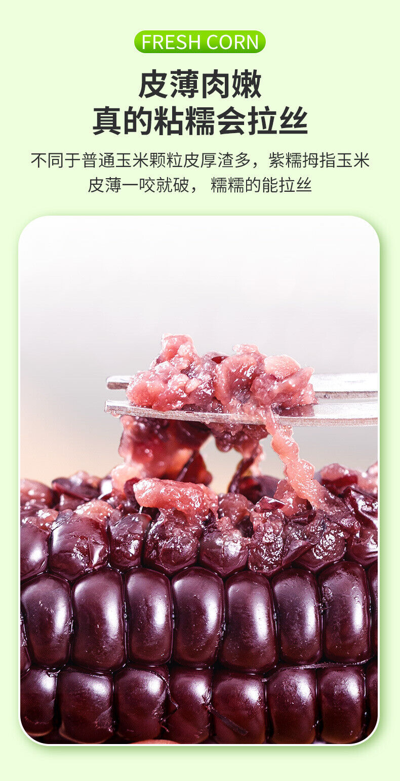 Purple Glutinous Corn Gift Box – Yunnan Specialty Sweet & Soft Corn