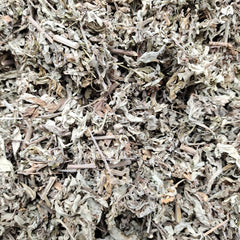 WORMWOOD PREMIUM HARVEST HERBAL TEA 100g Artemesia absinthum Dried Herb