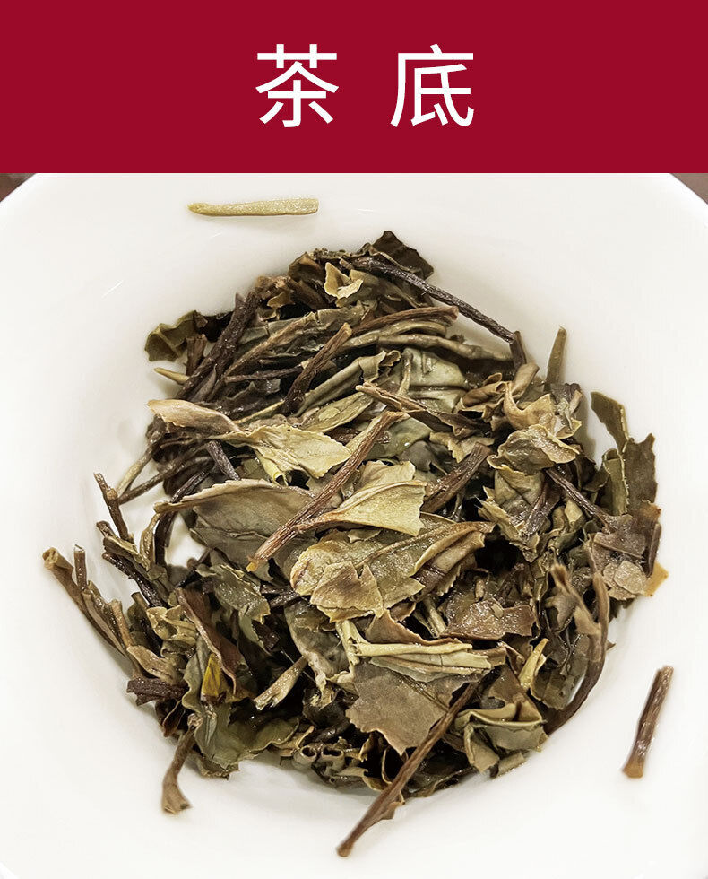 HelloYoung 350g Fuding white tea peony tea cake Panxi Ming Qian spring tea floral fragrance