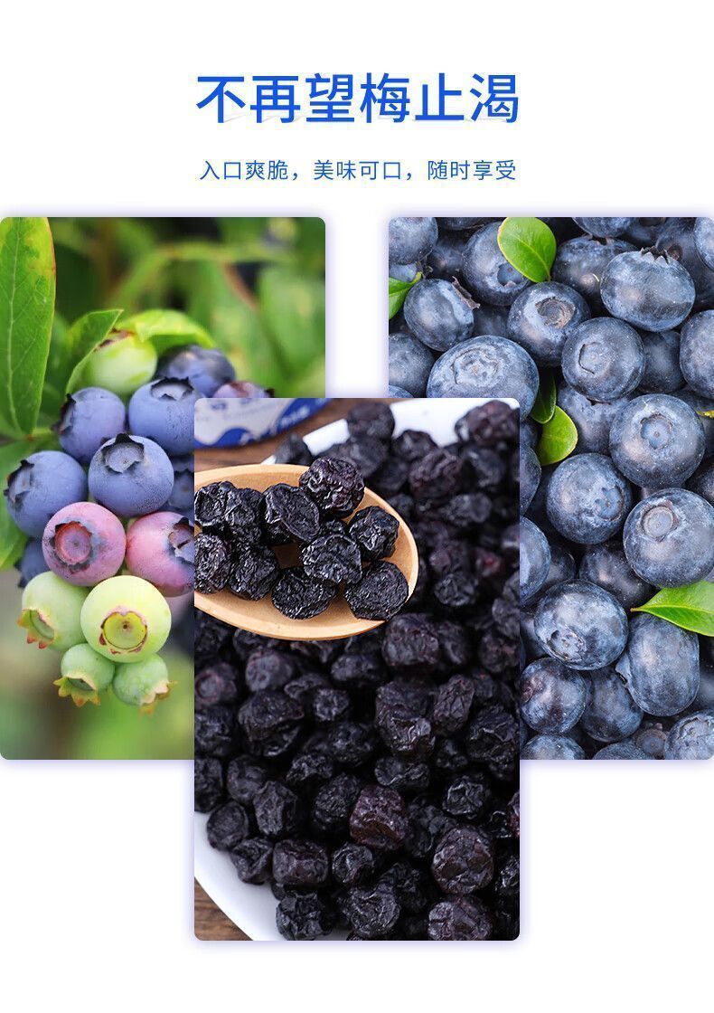 100% Natural Dried Wild Blueberries | No Sugar Added | Healthy Snack | 100g