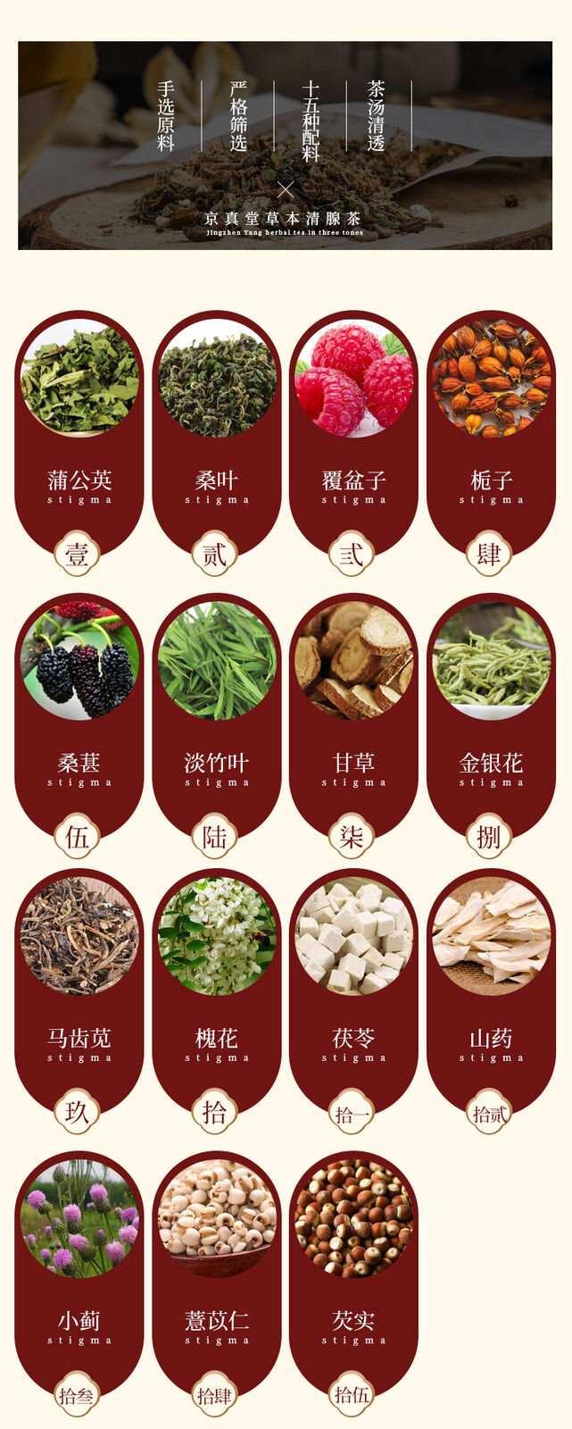 Herbal Tea with Dandelion for Detox and Wellness Tea Bags
