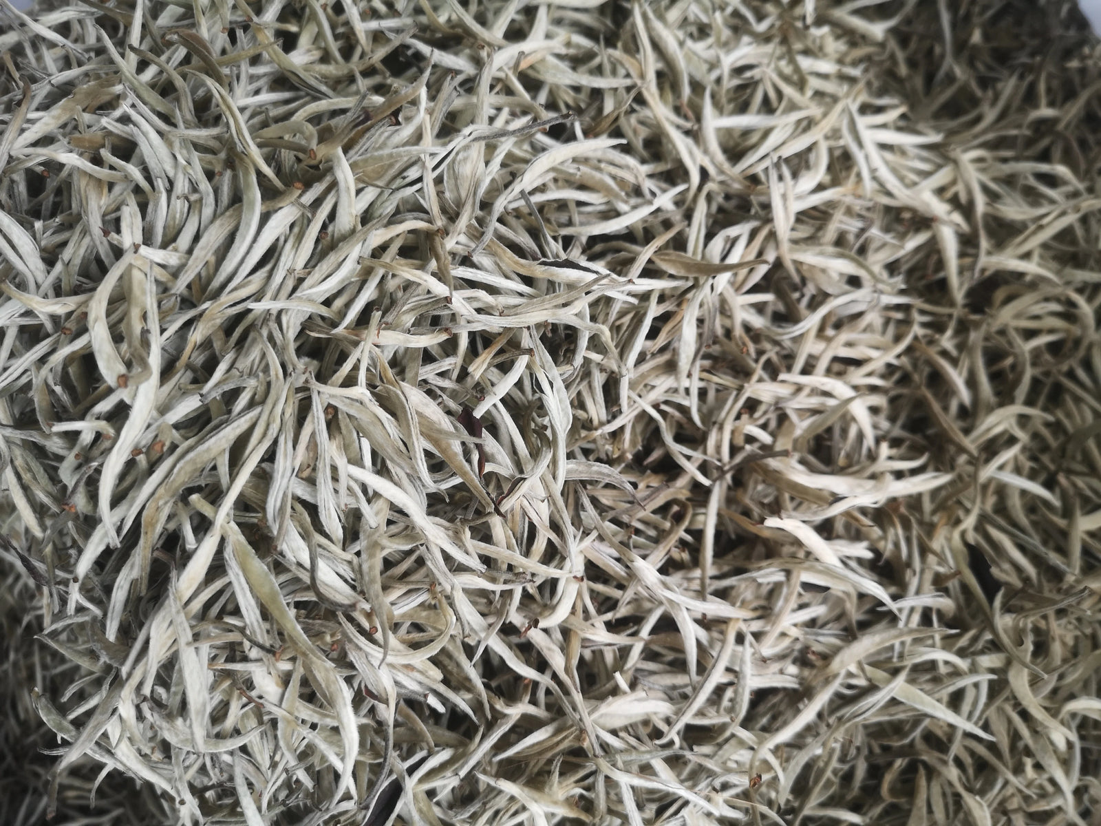 Chinese Supreme pekoe white single Bud white sliver needle white tea Fat burner