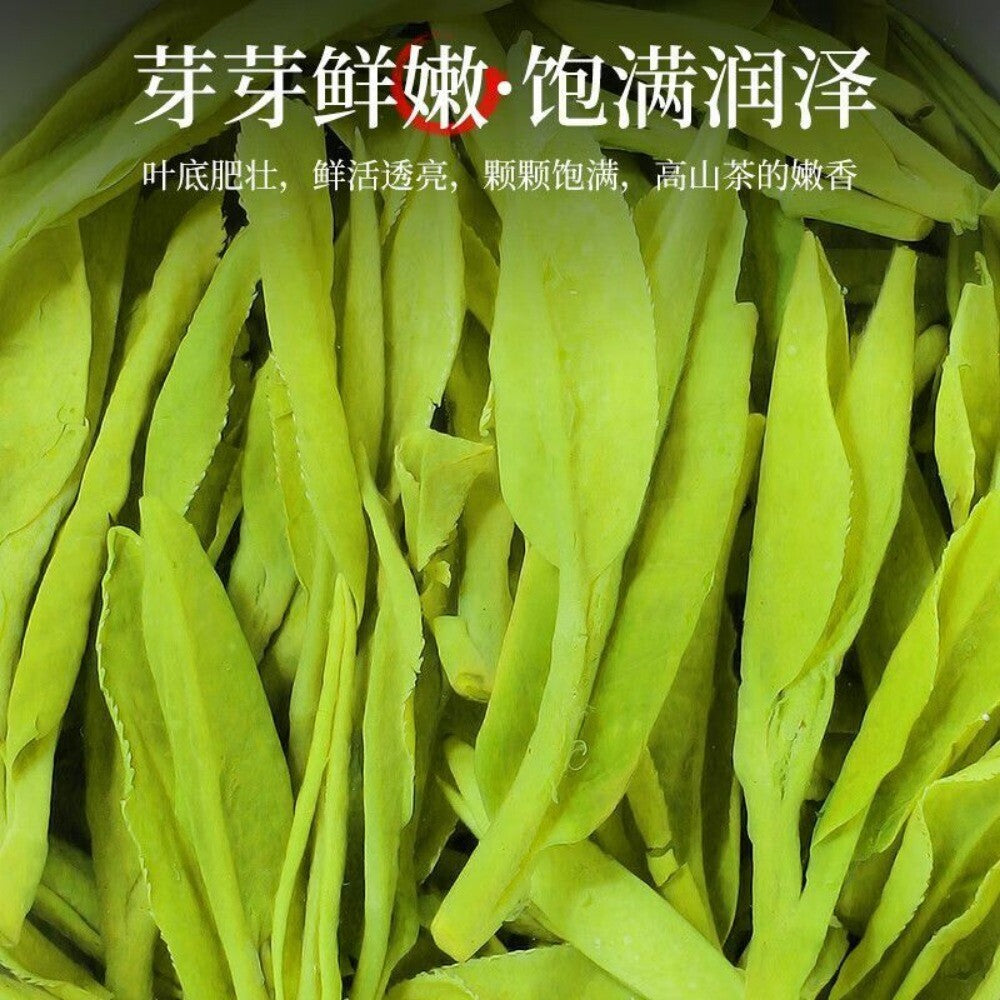 2025 Fresh Longjing Green Tea Rich Aroma Zhejiang Origin Durable Brew