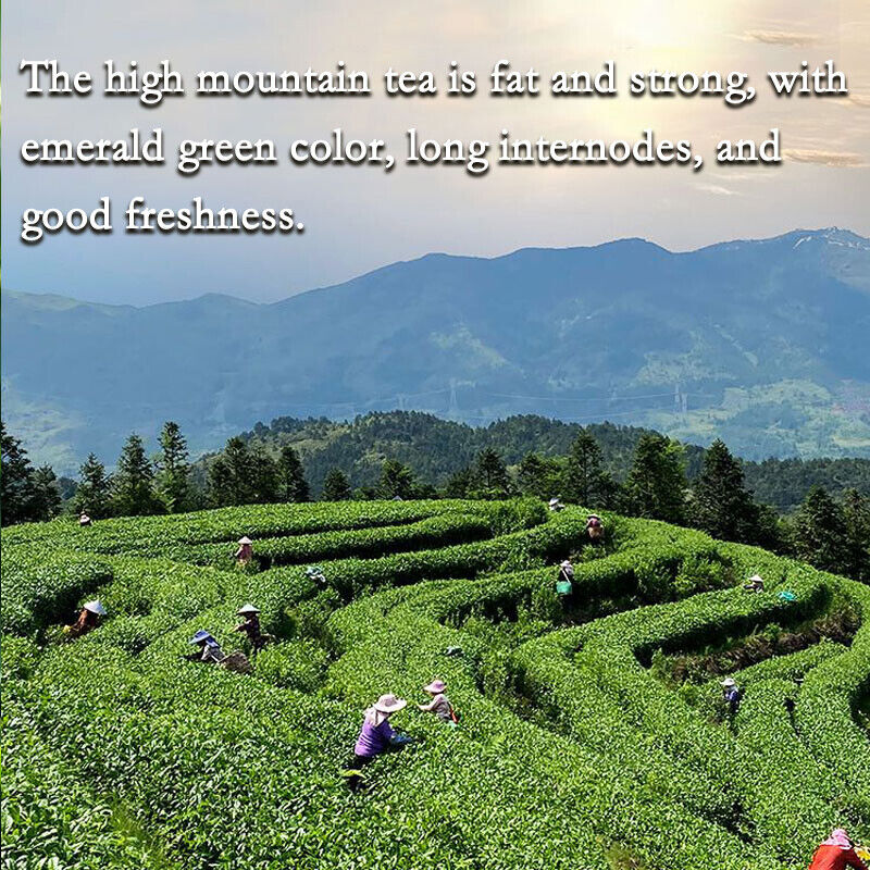 Taiwan Jin Xuan Milk Oolong Tea High Quality Tiguanyin Green Tea Health Milk Tea