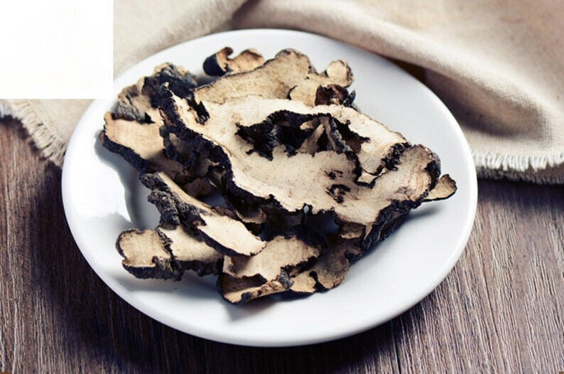 Zhu Ling/猪苓/Trametes Gibbosa/Polyporus umbellatus