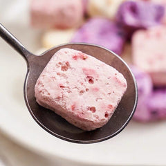 Freeze-Dried Yogurt Bites Strawberry Peach Blueberry Mango Fruit Snacks