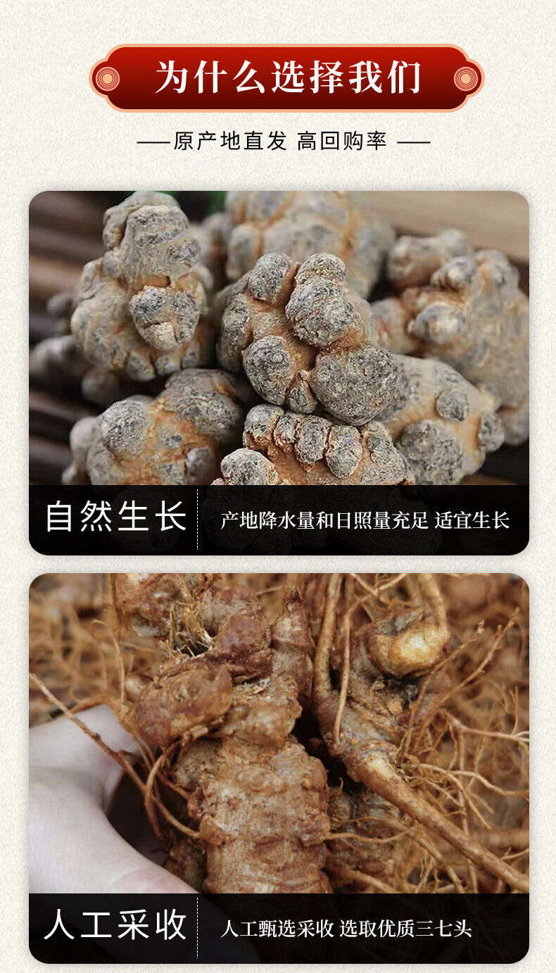 Sanqi Powder Authentic Yunnan Wenshan Notoginseng Tienchi Powder Premium Herbs