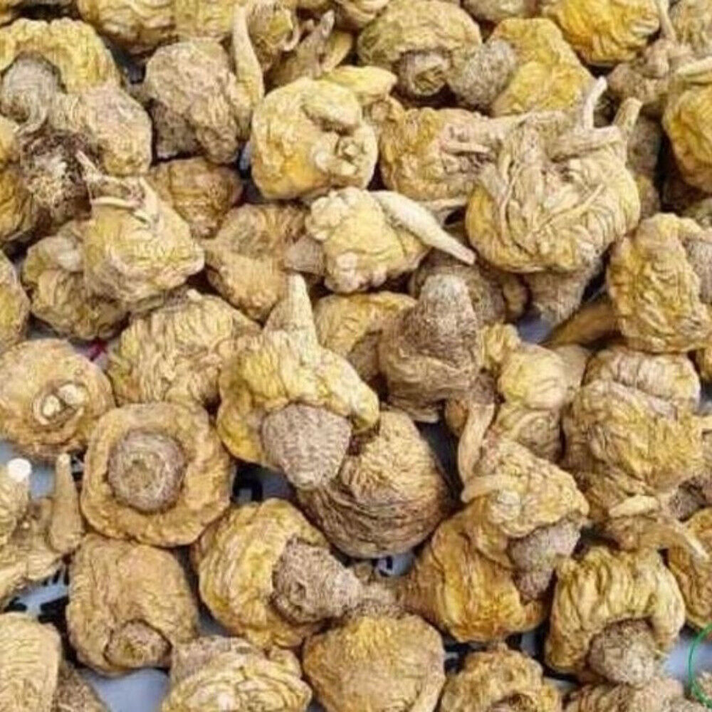 250g/8.8oz Maca Root Herbs Tea Wild Dried Maca  Natural  Herbal Medicine