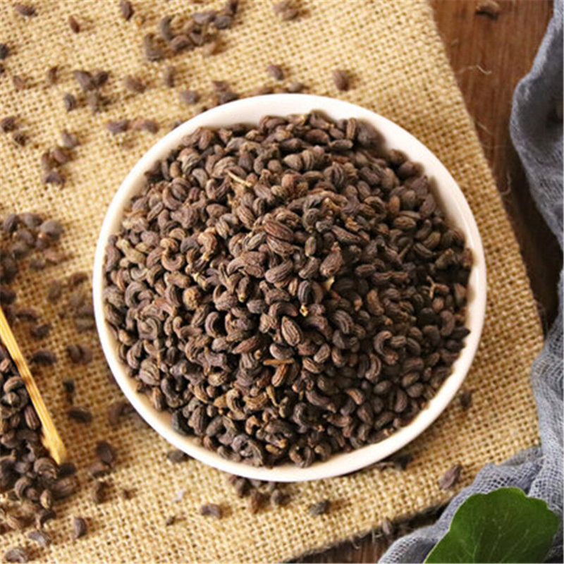 500g Chinese Herb, 100% Natural Ligustri lucidi Fructus