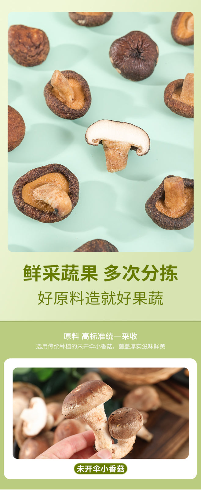 Dried Mushrooms Fruit Vegetable Crisps Dehydrated Dried Vegetable Snacks 250g