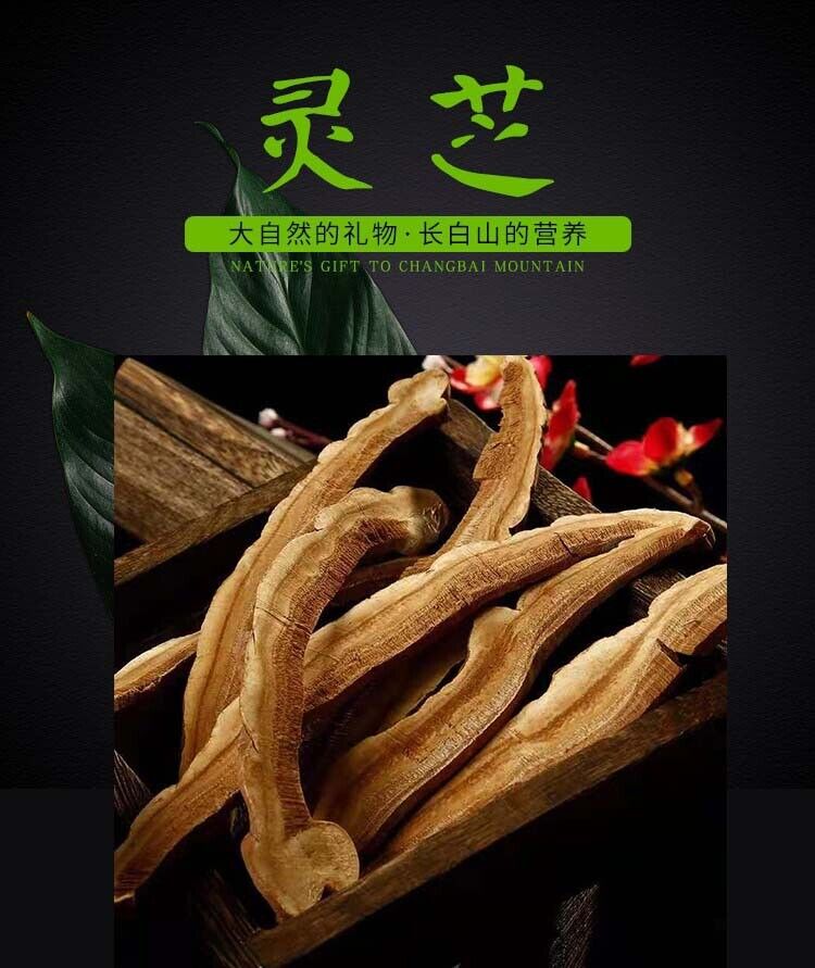 Changbai Mountain Lingzhi Tablet Red Ganoderma lucidum Wood Ganoderma lucidum