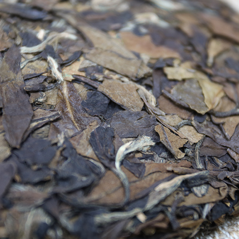Alpine Sun Date White Tea Fuding White Tea 100g*3 Shou Mei Tea Cake