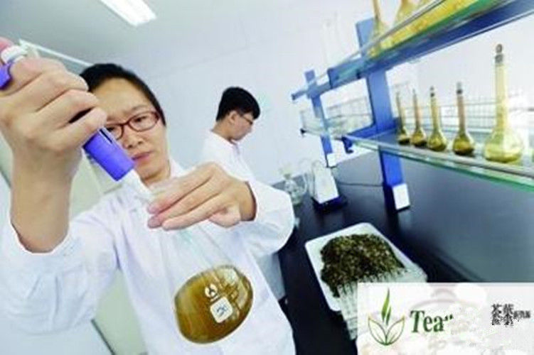 HelloYoungPremium Chinese New Tieguanyin Tea TiKuanYin Tea Oolong tea Black Tea 50g